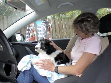 Ir�ny Magyarorsz�g