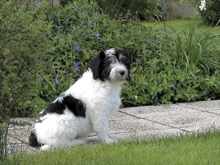 Ismerked�s az �j otthonnal